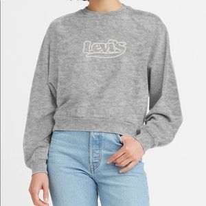 NWT (L) Vintage raglan crewneck sweatshirt